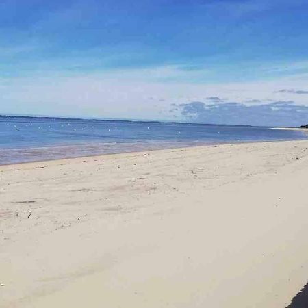 Appart Sur La Plage Pied Dans L Eau Avec Terrasse Jardin Vue Sur Le Bassin Depuis La Terrasse , Parking アルカション エクステリア 写真
