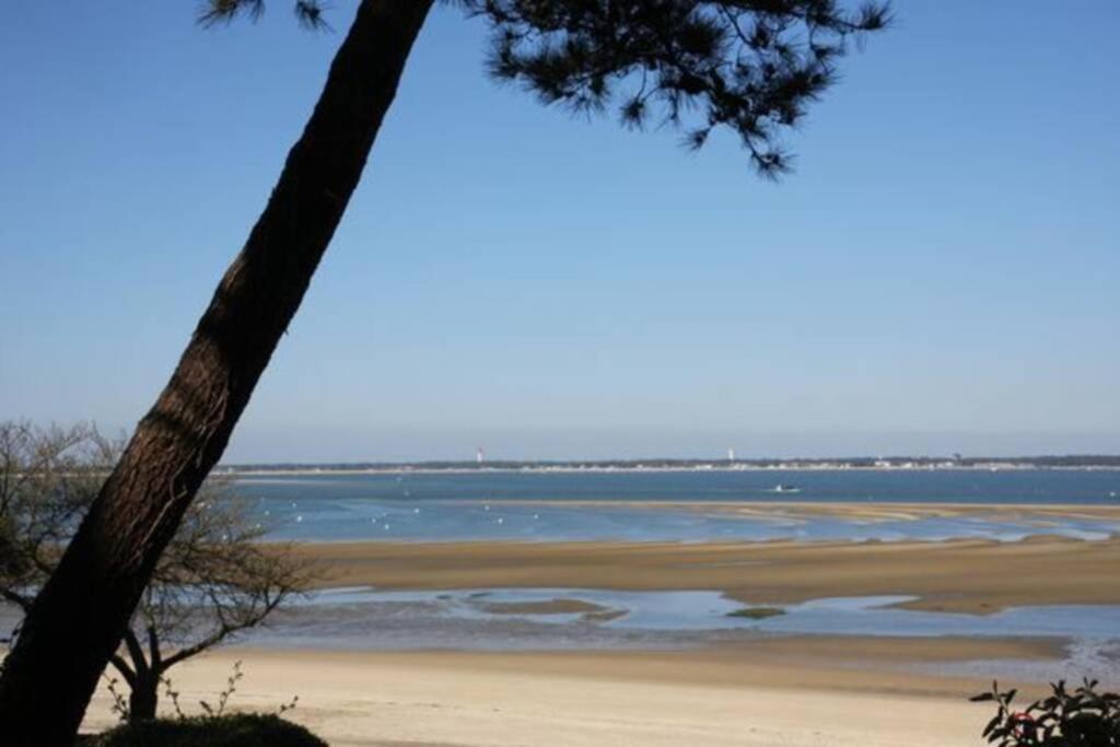 Appart Sur La Plage Pied Dans L Eau Avec Terrasse Jardin Vue Sur Le Bassin Depuis La Terrasse , Parking アルカション エクステリア 写真